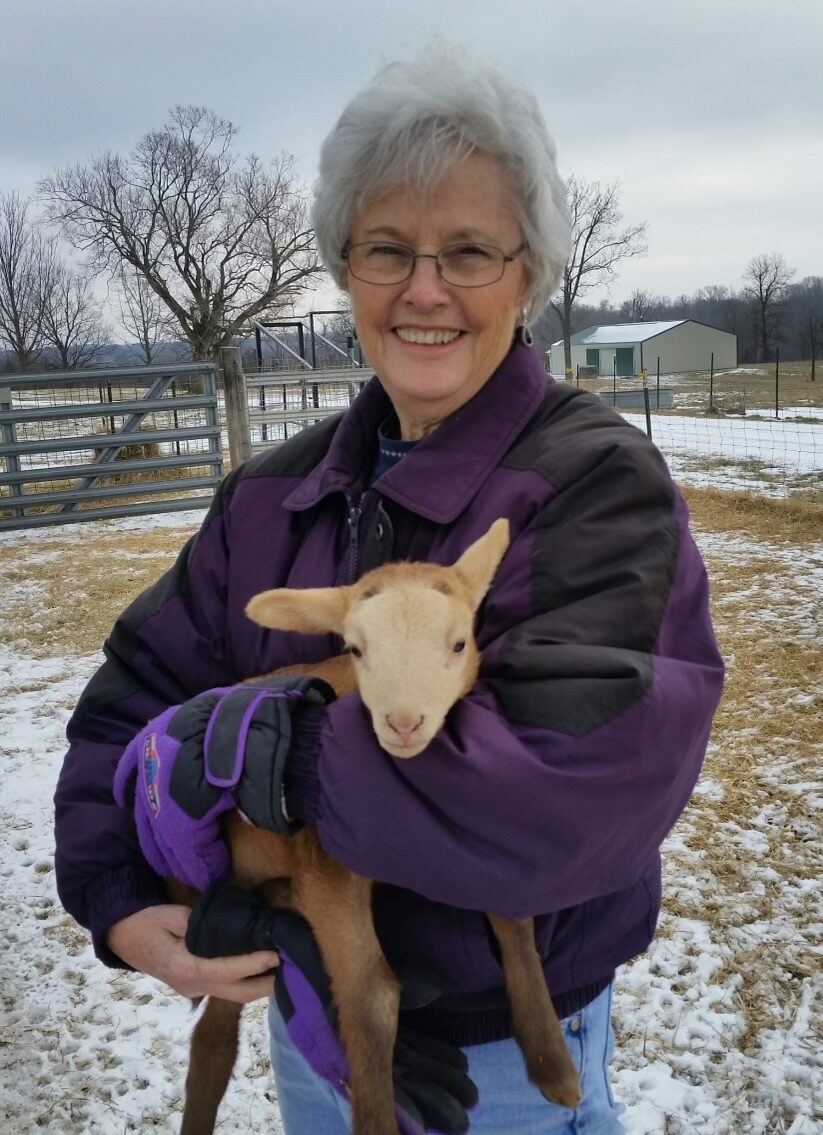 Sandra Sue Clink