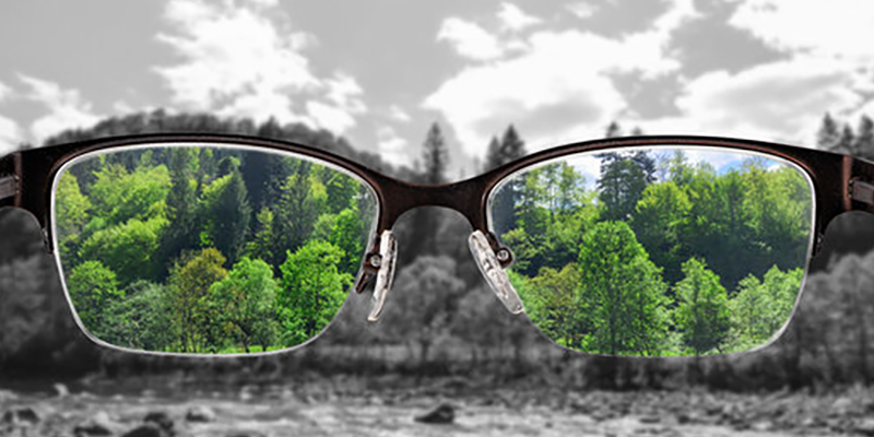 Perspectives