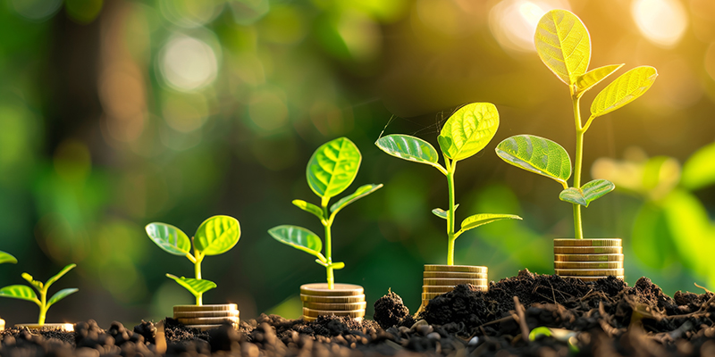 Save Money, Saving Money, Money Grows