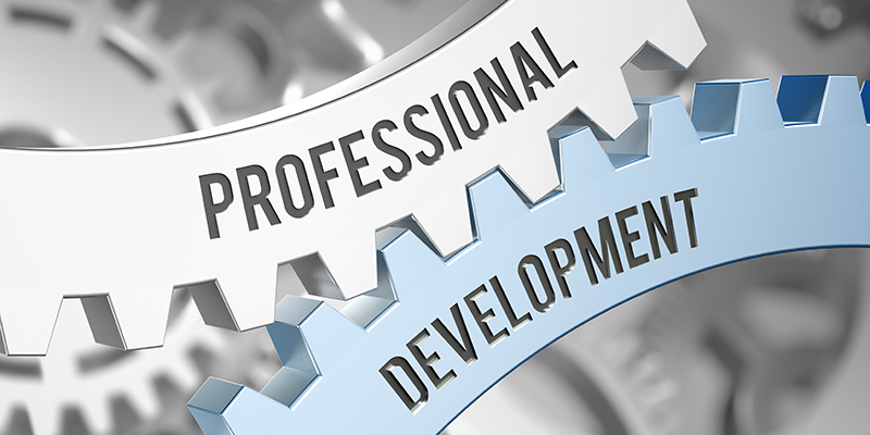 Professional Development